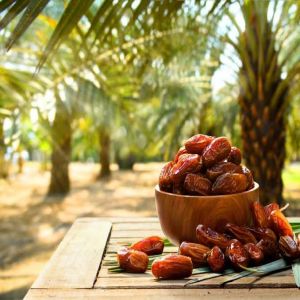 خبراء الصحة ينصحون بتناول هذه الأطعمة على معدة فارغة في الصباح