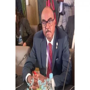 المبعوث الخاص للأمين العام لمنظمة التعاون الإسلامي إلى أفغانستان يشارك في اجتماعات فرق العمل المعنية بأفغانستان