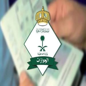 "الجوازات" تصدر (8,155) قرارًا إداريًا بحق مخالفين لأنظمة الإقامة والعمل وأمن الحدود