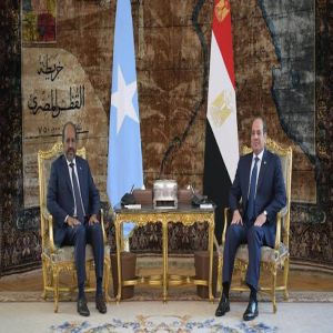 الرئيس المصري يبحث مع نظيره الصومالي تطورات الأوضاع الإقليمية
