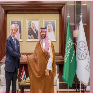 وزير الدفاع يبحث العلاقات الثنائية مع نظيره المجري