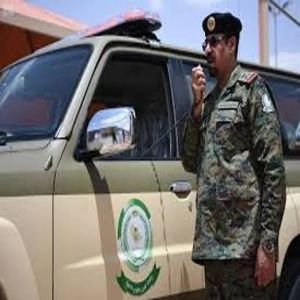القبض على شخص لترويجه 13 كيلوجرامًا من القات بمحافظة الفرشة