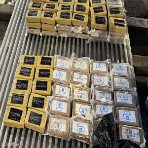 روسيا تضبط مخدرات قيمتها 153 مليون دولار داخل شحنة موز