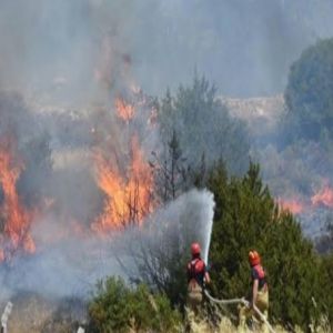 حريق غابات مدمر يجتاح جنوب فرنسا قرب مارسيليا