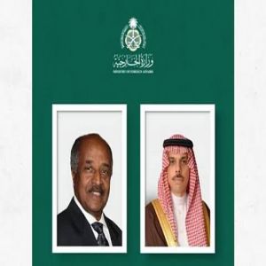 وزير الخارجية يبحث تعزيز العلاقات مع نظيره الإريتري