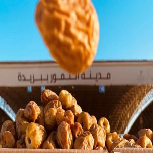 القصيم تستعد لإطلاق كرنفال بريدة للتمور