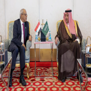 نائب وزير الخارجية يلتقي نائب وزير الخارجية وشؤون المغتربين اليمني