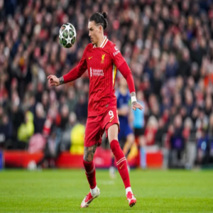 الهلال يطرق أبواب ليفربول للتعاقد مع داروين نونيز
