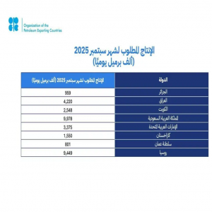 مجموعة "أوبك بلس" تعلن رفع إنتاج النفط في سبتمبر بمقدار 547 ألف برميل يوميًا