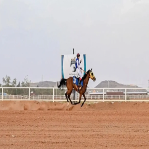 ميدان فروسية الباحة يشهد انطلاق المحفل الثاني لسباقات الخيل