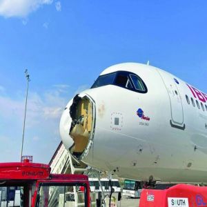 طائر يتسبب في تلف طائرة
