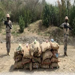 حرس الحدود بجازان يحبط تهريب 40 كيلوجرامًا من مادة الحشيش المخدر