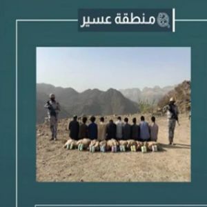 القبض على 10 مخالفين لتهريبهم 90 كلجم من القات في عسير
