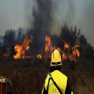 أخماد أكبر حريق غابات في فرنسا وسط حالة تأهب مع توقعات بموجة حر جديدة