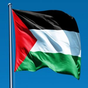 استراليا ونيوزيلندا تعتزمان الاعتراف بدولة فلسطين خلال اجتماعات الأمم المتحدة المقبلة