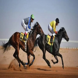 ميدان فروسية الباحة يقيم سباق الخيل الثالث للعام الحالي