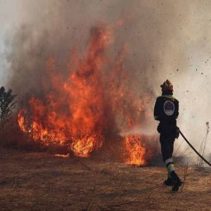 تركيا: السيطرة على 45 حريقاً في عدة مناطق