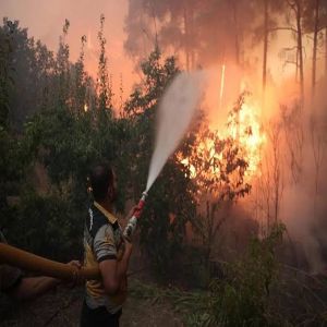 السيطرة على 80% من حرائق كسب بمحافظة اللاذقية