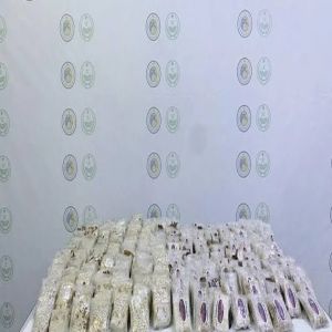 إحباط تهريب 230,000 قرص من مادة الإمفيتامين المخدر بمنطقة تبوك