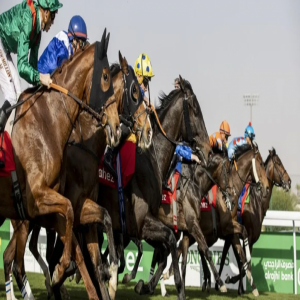 الرياض تستضيف النسخة الـ 41 من المؤتمر الآسيوي لسباقات الخيل