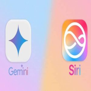 آبل تدرس الاستعانة بروبوت Gemini من جوجل لتشغيل “سيري”