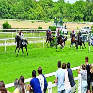 3 سباقات لـ«خيول الإمارات» في فرنسا اليوم