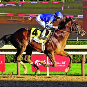 «سوفرينتي» لجودلفين يواصل كتابة التاريخ