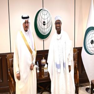 أمين عام “التعاون الإسلامي” يستقبل المدير التنفيذي للهيئة الدائمة المستقلة لحقوق الإنسان الدكتور  هادي اليامي