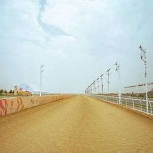 الطائف تشهد انطلاق النسخة السابعة من مهرجان ولي العهد للهجن