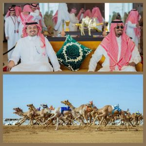 سيطرة سعودية في افتتاحية مهرجان ولي العهد للهجن 2025م و بحضور فهد بن جلوي على أرض ميدان الطائف التاريخي