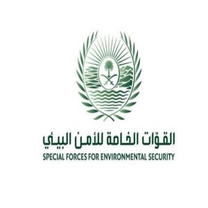 القوات الخاصة للأمن البيئي تضبط شخصين مخالفين لنظام البيئة