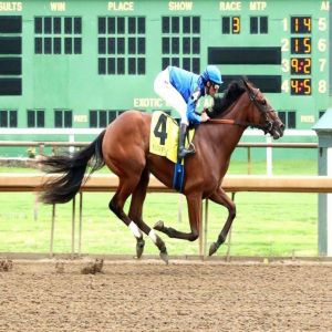 «بوندرنغ» لجودلفين تتطلع إلى السير على خطى أخيها في أمريكا