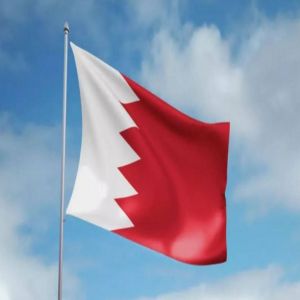 البحرين تكشف عن ضبط واسترداد 26 مطلوبا دولياً
