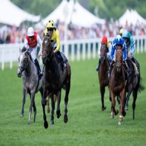 خيول الإمارات تخوض التحدي في إنجلترا