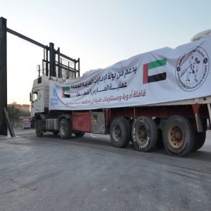 أكثر من 10,000 طن من المساعدات الإماراتية دخلت إلى قطاع غزة منذ فتح المعابر