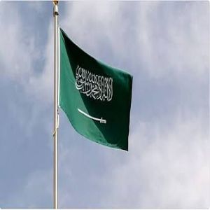 دول «أوبك بلس» يتفقون على زيادة إنتاج النفط 137 ألف برميل يوميًا في أكتوبر