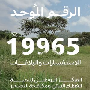 "الغطاء النباتي" يطلق خدمات الرقم الموحد (19965) لتلقي البلاغات والاستفسارات