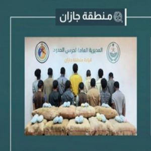 القبض على 14 مخالفًا لتهريبهم 280 كيلوجرامًا من القات في جازان