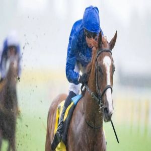 «ووردس أوف تروث» لجودلفين يتألق في نيوبري