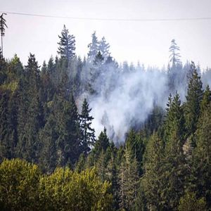 مقتل أربعة جنود أمريكيين في تحطم مروحية بواشنطن