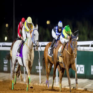 نادي سباقات الخيل يعلن عن انطلاق موسم سباقات الرياض