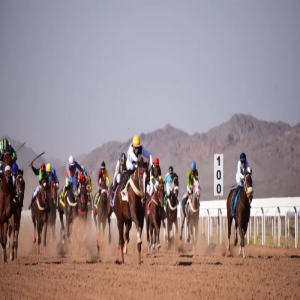 الفروسية في جازان... تراثٌ أصيلٌ يُعزِّز الهوية الوطنية