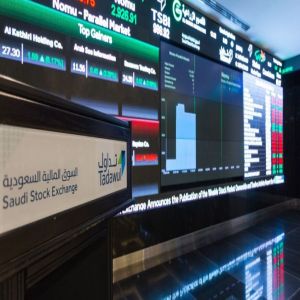أفضل أداء يومي لسوق الأسهم السعودية في 2025