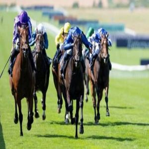 خيول الإمارات تتطلع إلى انتصارات جديدة في نيو ماركت