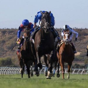 «ريبلز رومانس» و «إل كوردوبس» و«ناش».. خيول جودلفين تستهدف الألقاب في 3 قارات