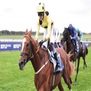 ثنائية مميزة لخيول الإمارات في نيوماركت ضمن مهرجان كامبريدج شير