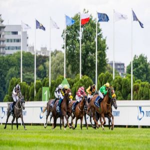 15 خيلاً تتنافس على لقب كأس رئيس الدولة للخيول العربية في بولندا