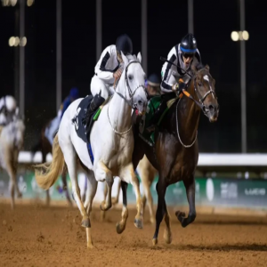انطلاق أول سباقات ميدان الخيل بنجران للموسم الحالي