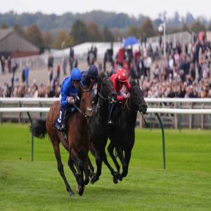 خيول الإمارات تبصم بالـ«خمسة» في مهرجان كامبريدج بنيوماركت