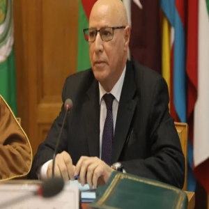 الأمين العام المساعد لقطاع الإعلام بالجامعة العربية: القضية الفلسطينية فرضت نفسها على أجندة الأمم المتحدة بتواتر الاعترافات الدولية
